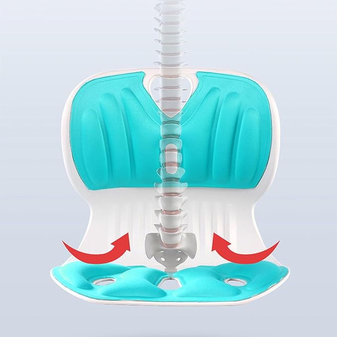 Coussin Lombaire Ergonomique – Soulagement de Dos & Correction de la Posture